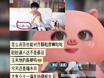 肚肚逼人喽,又连上玉米地的网啦