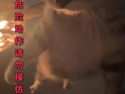 #老虎处刑曲 #老虎不妙曲 #猎杀老虎 #山君 #野兽 今天中午来我家烤虎鞭
