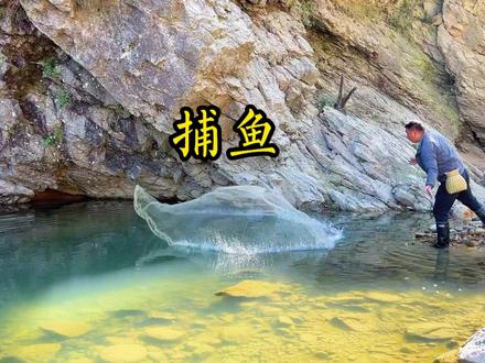 在小河边撒网,收获一条红色鲤鱼,太漂亮了 #捕鱼 #新农人计划