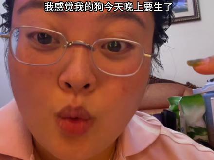 凌晨三点,为我的小狗接生四个宝宝