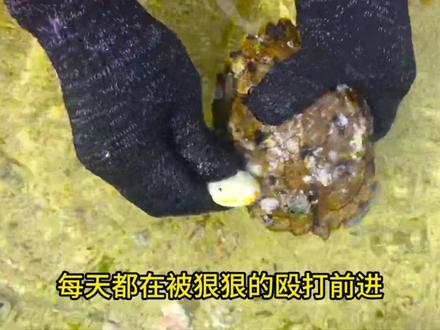崩之日斩 穿越崩铁变成了一个小女孩
成为了终焉星神#崩铁 #崩铁同人 #爽文 #爆款 #男生必看