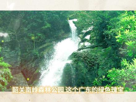 "探访韶关南岭森林公园的生态之美"#短视频变现 #中视频伙伴计划 #生态环境 #国家公园