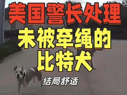 基操勿6!美国警长处理遛狗未牵绳的狗主人和比特犬! #美国警察执法
⚠️【声明】本内容旨在通过真实案例分析,不仅是为了猎奇,更是为了反思。所有素材均源自公开档案,无不良引导。倡导遵纪守法,共建和谐社会。
