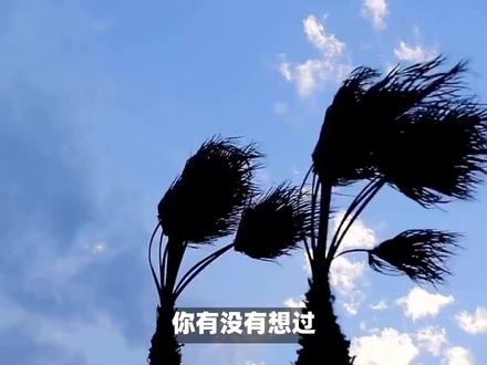 风是怎么刮起来的? #风 #地球 #气象