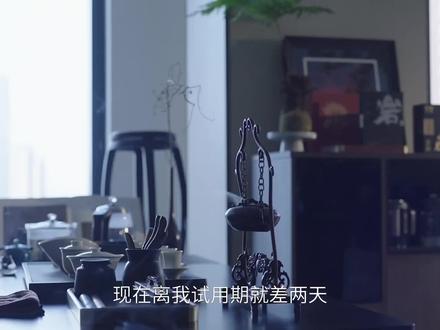 年少有为第15集第16集第17集