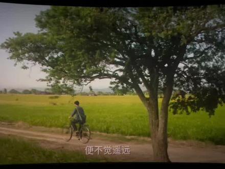 阿嬷的情书藏着手机也能拍出的运镜 《阿嬷的情书》里的高级运镜,你也能学会!#手机摄影 #阿嬷的情书 #运镜教程 #电影阿嬷的情书