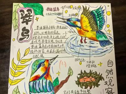#绘画过程也是一种享受吧 #创作者中心 #创作灵感 #大自然手抄报 #爱画画的小朋友 三年级学生手抄报
