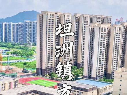 坦洲新增一所公办小学,即将迎来首批学生!