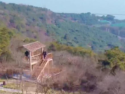 今天带大家去看一下2500年前阖闾城真正的遗址!#爬山 #周边游 #历史古迹 #阖闾城 #无锡旅游攻略 #无锡 @DOU+小助手