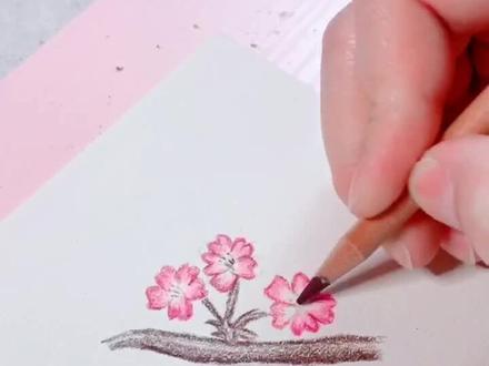 #彩铅 #樱花 简单画法不信试一试?