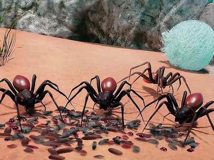 蜘蛛竟然可以横飞海洋? #科普 #猎奇