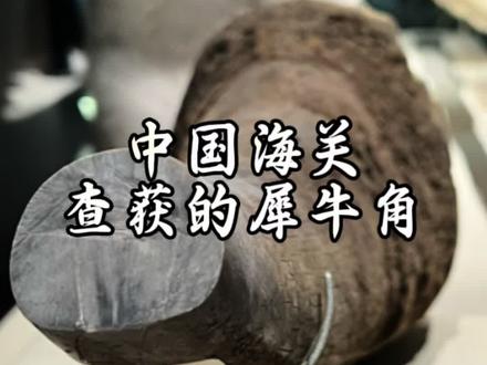 拍摄于中国海关博物馆,犀牛角,广州海关提供