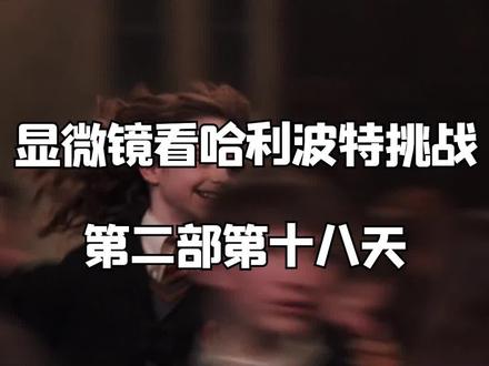 #哈利波特 哈利与赫敏的感情也许已经超越了爱,到达了亲情范畴。
