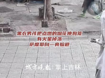 两男孩玩火点燃狗笼后狗狗被烧死,主人发声:萨摩耶养了7年感情很深,不接受私了,要求孩子家长道歉。(编审 李晔琦 复审 毕继红 终审 王首道)#两小孩点燃狗棚致狗死亡