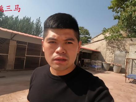 晓炮消失一个月去哪了?真的和姚三马闹掰了吗?三马终于说出实情 #姚三马 #猛犬 #刘晓炮
