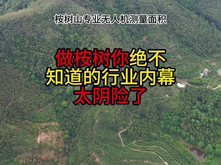 做桉树你绝不知道的行业内幕,太阴险了#桉树测量 #无人机测量 #桉树 #桉树种植 #桉树高产