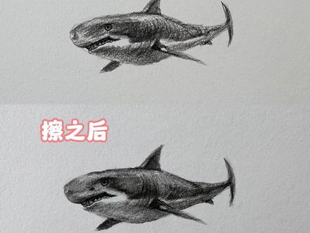 画鲨鱼的两种效果,你喜欢哪种呢?#画画 #一起学画画 #美术