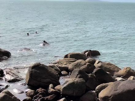 三十二度高温,实探深圳两个网红海滩,最好发现柚柑湾值得来打卡#带你去看海 #海边 #海边的风 #保持热爱奔赴山海