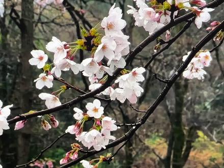 这个显示器是真牛逼#hkc