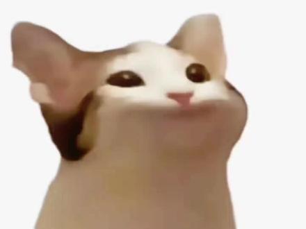 锐评我是一只鱼 来源:vb云梦李清照#时代峰峻 #TF家族荣耀之战 #锐评 #张函瑞