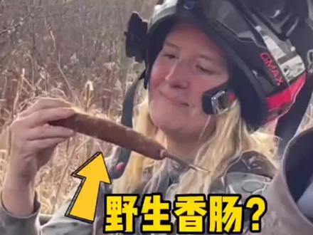 吃进嘴里就炸开的野生的香肠,原来是一种叫做香蒲的植物种子
