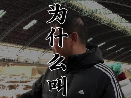 为什么叫做兵马俑?#兵马俑 #兵马俑博物馆 @抖音小助手