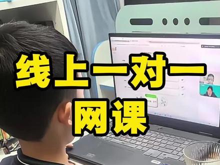 线上一对一网课,掌门、有道、新东方、高途、学而思 #线上一对一网课 #线上一对一 #网课 #一对一 #掌门