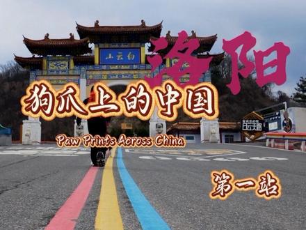 带狗征服白云山2216米!
索道·瀑布·玻璃栈道·山洞
全程友好,小狗快乐到起飞🐶
#洛阳白云山 #带狗狗去旅行 #宠物友好景区 #洛阳旅行 #狗狗的治愈瞬间