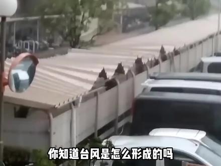 你知道台风是怎么形成的吗?#台风 #泰利台风 #小知识