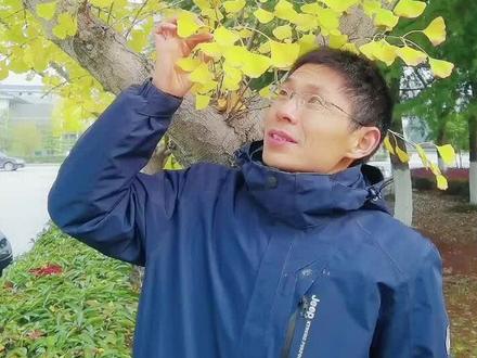 #银杏 名称由来#银杏叶 #银杏树 #创作人计划 #植物科普 #研学 #研学旅行 @一方见地