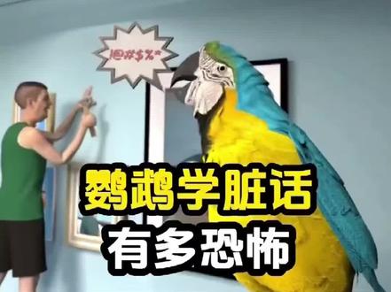 #丹尼尔#低音炮 #辛巴巴巴噜比啦 心巴巴巴卢比啦