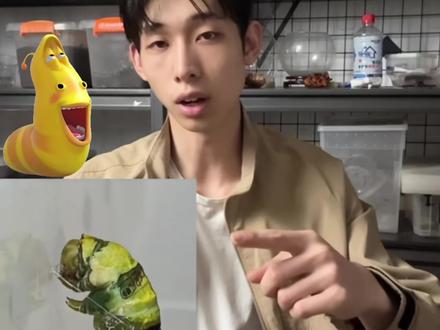 从动画到现实:爆笑虫子小黄是什么虫? #观察昆虫 #科普昆虫