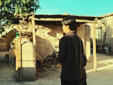 痴情白椿再等一世吧#生命树 #杨紫 #张哲华 #亲嘴