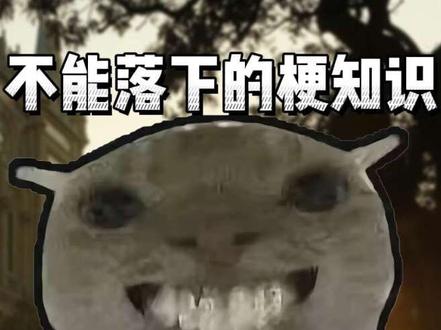 鼠鼠的幻想是什么梗#鼠鼠的幻想 #鼠鼠 #梗图 #梗