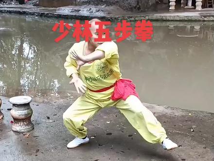 东安武术我传承,今天讲解少林五步拳的分解教学,五种步型有弓步,马步,歇步,仆步,虚步。