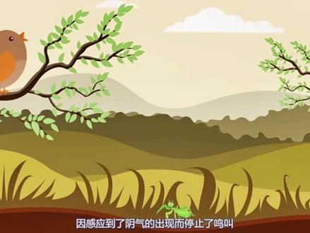 二十四节气之芒种的特点和习俗!#二十四节气 #芒种 #习俗 #二十四节气的习俗有哪些 #传统文化
