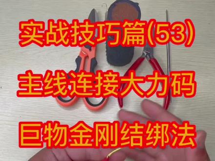 巨物主线连接大力码金刚结绑法教程 #钓大物 #主线连接竿稍 #黑坑青鱼 #钓鱼人 #户外钓鱼
