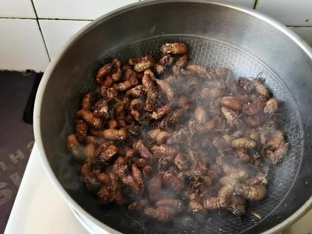 我们丹东,地方名菜,干煸雄蚕蛾。