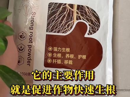 教你如何选择一款好的生根粉#永邦生物 #邦一季 #农资肥料 #好物推荐 #抖音618好物节 #快速生根 #拜尔爽 #生根粉