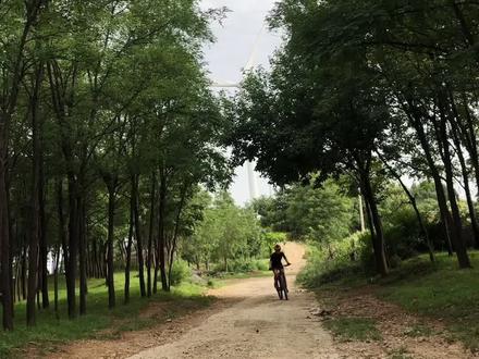 不穿锁鞋也不能穿运动鞋,建议硬底的板鞋#女骑 #山地车