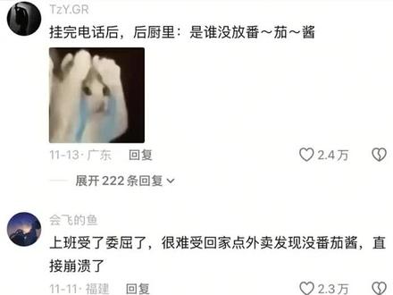 压死骆驼的最后一根稻草,蕃茄酱或许只是启动开关 #崩溃就在那么一瞬间 #蕃茄酱 #塔斯汀 #讨论