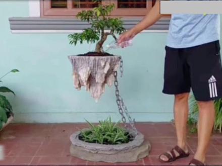 2分钟教你做悬浮花盆,好看又好玩#松树盆景 #花盆制作 #手工制作