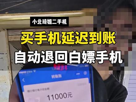 买东西跟我整上延迟到账?
