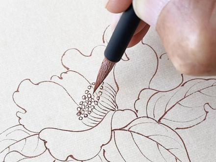 徒手线描山茶花教程#每日一画 #零基础教学 #手绘教程 #石文学国画 #零基础自学国画