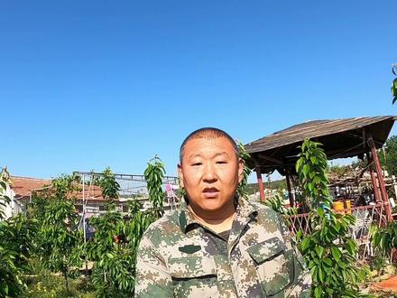 果农真是太好骗了,拍个假视频,就有不少人上当!#大樱桃种植管理 #温室大樱桃种植 #樱桃苗木基地