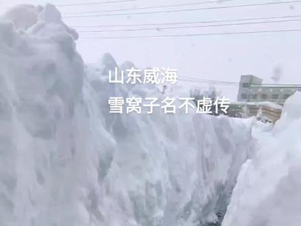 我的家乡山东威海这次大暴雪,不是东北胜似东北,雪的厚度好几十公分,这回又出名了#一场大雪美如画 #各地雪景大赏 #又是一年下雪季 #冬天该有的样子 #记录真实生活