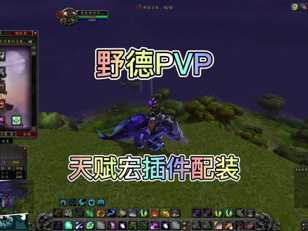 野德PVP天赋宏配装插件#魔兽世界 #魔兽世界怀旧服 #野德PVP