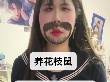 养花枝鼠经常被问到的问题
#花枝鼠 #花枝鼠宝宝 #鼠鼠我呀