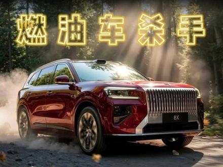 极氪8X买哪个版本最好? #尹哥普及新能源