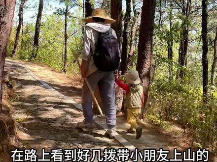 大理苍山清碧溪徒步攻略来喽~#旅行推荐官 #原创 #带你看风景 #大理 #爬山